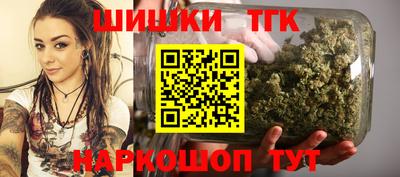 крисы Гагарин