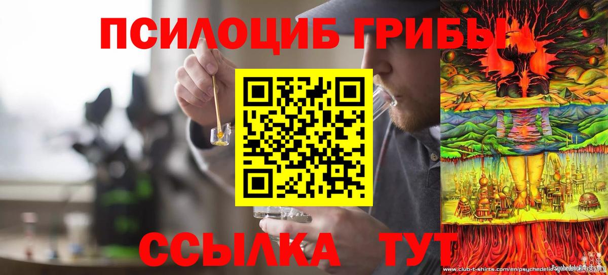Галлюциногенные грибы Psilocybine cubensis  Вход с VPN  Ногинск 
